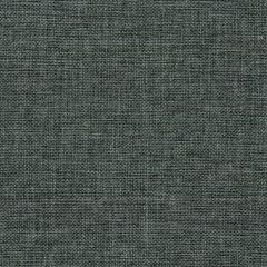 Fancy Grey